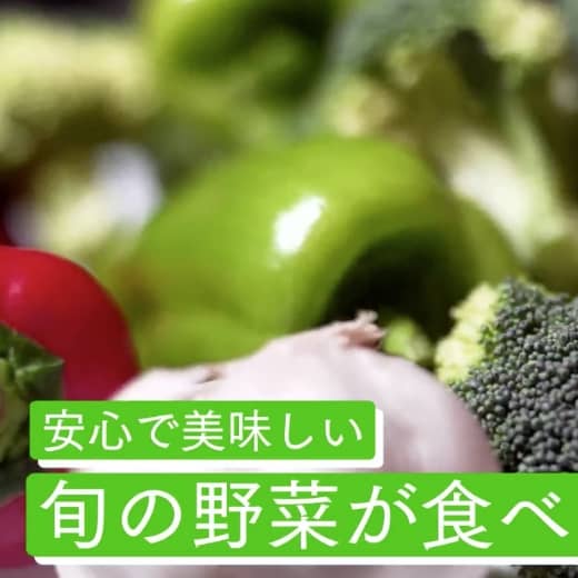 商品紹介