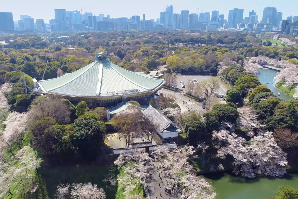 ドローン東京 東京の桜を空撮